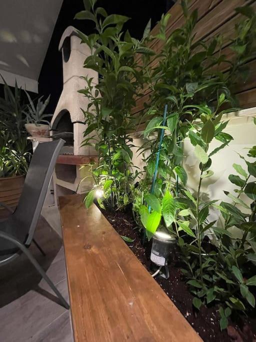 Acropolis Lux Apartment Athènes Extérieur photo